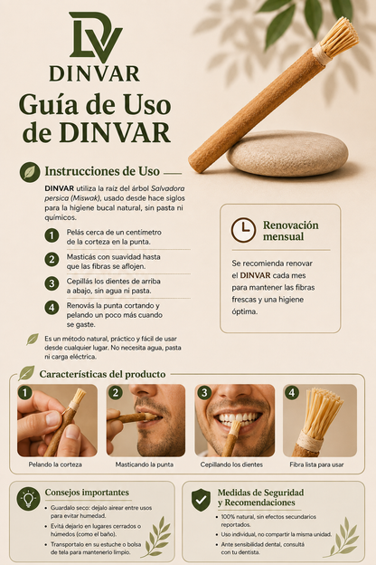 Cepillo Natural DINVAR